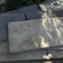 фото из отзыва ID 2696824