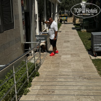 фото из отзыва ID 2696824