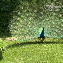фото из отзыва ID 2696836
