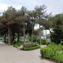 фото из отзыва ID 2696849