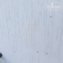 фото из отзыва ID 2696849