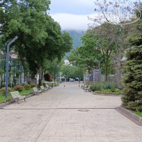 фото из отзыва ID 2696849