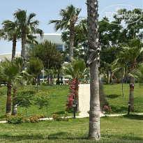 фото из отзыва ID 2696858