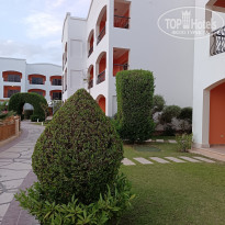 фото из отзыва ID 2696874