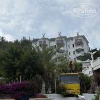 фото из отзыва ID 2696905