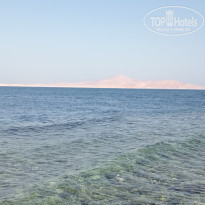 фото из отзыва ID 2696911