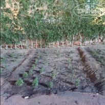 фото из отзыва ID 2696911