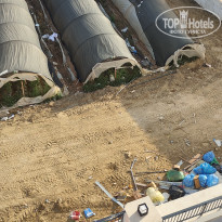 фото из отзыва ID 2696920