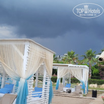 фото из отзыва ID 2696902