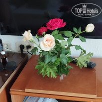 фото из отзыва ID 2696930