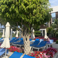 фото из отзыва ID 2696558