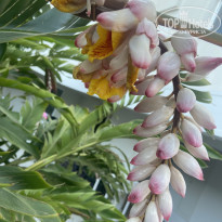 фото из отзыва ID 2696558