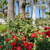 фото из отзыва ID 2697028