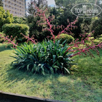 фото из отзыва ID 2697053