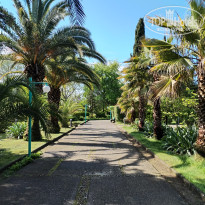 фото из отзыва ID 2697053