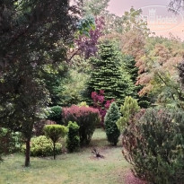 фото из отзыва ID 2697053