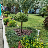 фото из отзыва ID 2697053