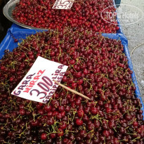 фото из отзыва ID 2697063