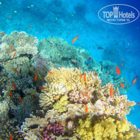 фото из отзыва ID 2697183