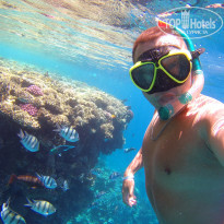 фото из отзыва ID 2697183