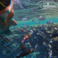 фото из отзыва ID 2697183