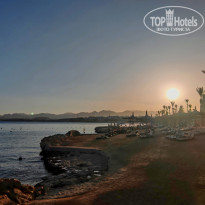 фото из отзыва ID 2697183