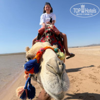 фото из отзыва ID 2697201