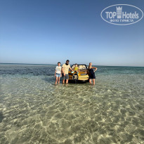 фото из отзыва ID 2697201