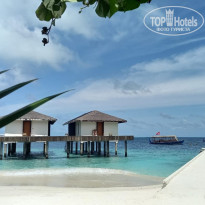 фото из отзыва ID 2697192