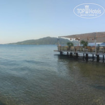 фото из отзыва ID 2697212