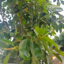 фото из отзыва ID 2697212