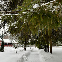 фото из отзыва ID 2697215