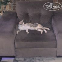 фото из отзыва ID 2697220