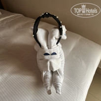 фото из отзыва ID 2697239