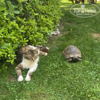 фото из отзыва ID 2697254