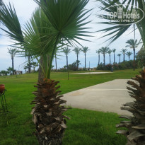 фото из отзыва ID 2697319