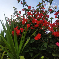 фото из отзыва ID 2697319