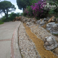 фото из отзыва ID 2697319