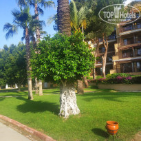 фото из отзыва ID 2697319