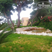 фото из отзыва ID 2697319