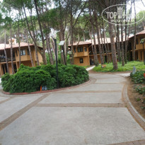 фото из отзыва ID 2697319