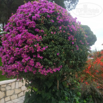 фото из отзыва ID 2697319