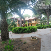 фото из отзыва ID 2697319