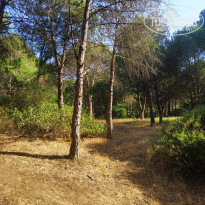 фото из отзыва ID 2697319