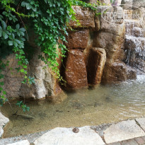 фото из отзыва ID 2697319