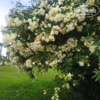 фото из отзыва ID 2697319