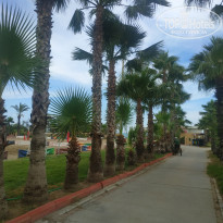 фото из отзыва ID 2697319