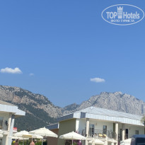 фото из отзыва ID 2697324