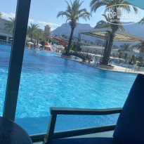 фото из отзыва ID 2697324