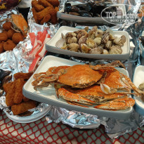 фото из отзыва ID 2697364